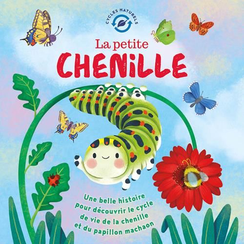 Cycles naturels : La petite chenille